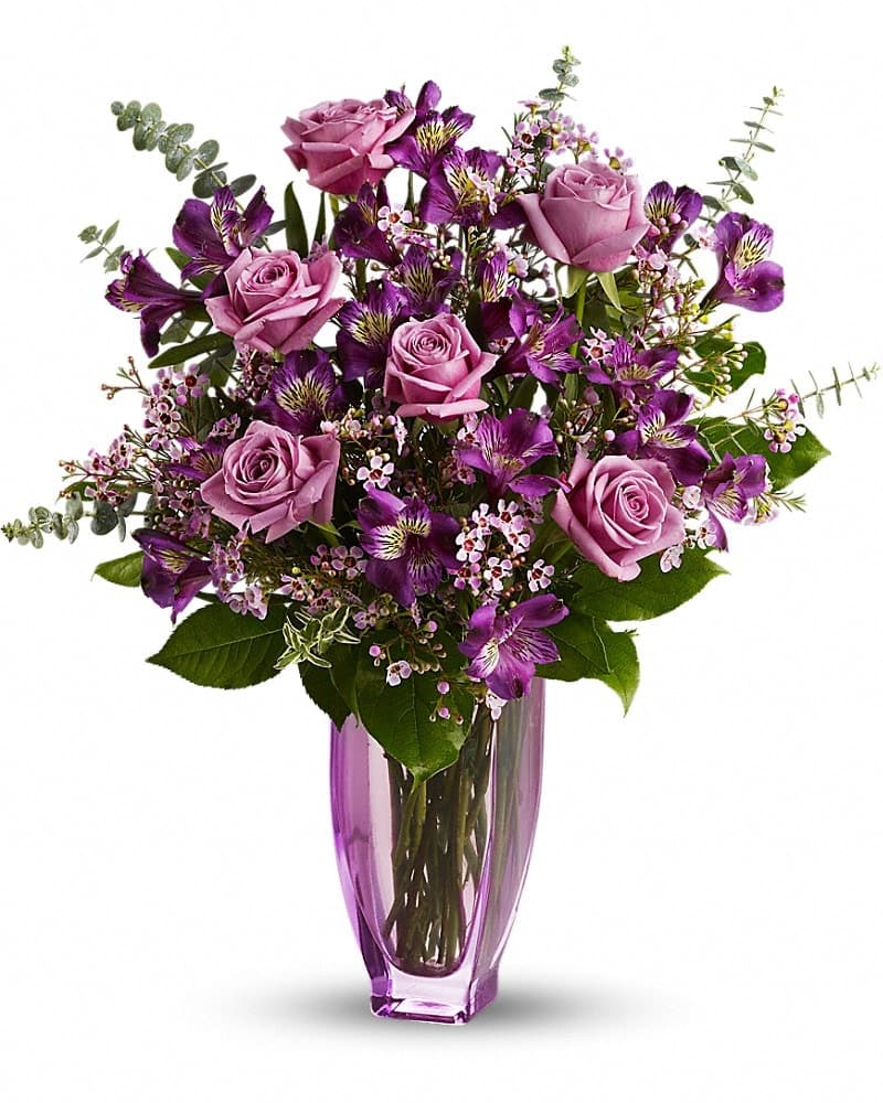 Teleflora's Dreaming Of Roses