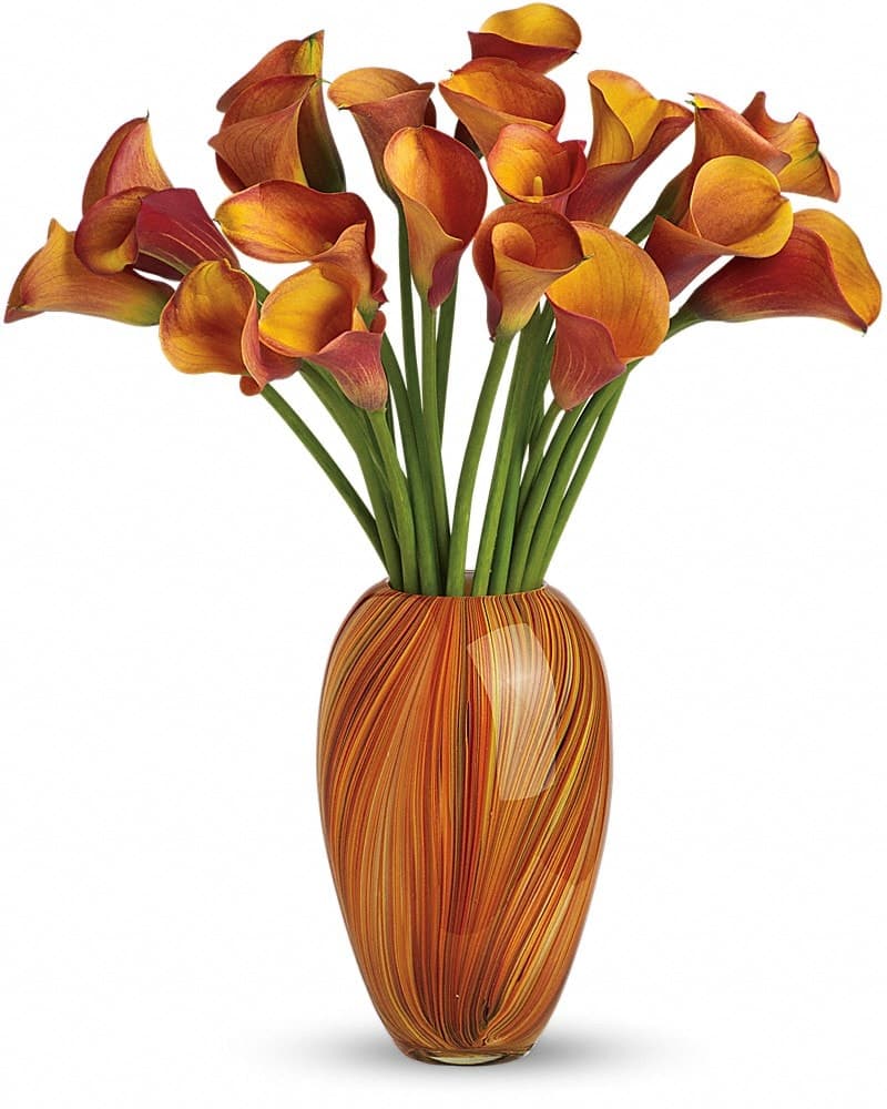 Teleflora's Glorious Grandeur Bouquet