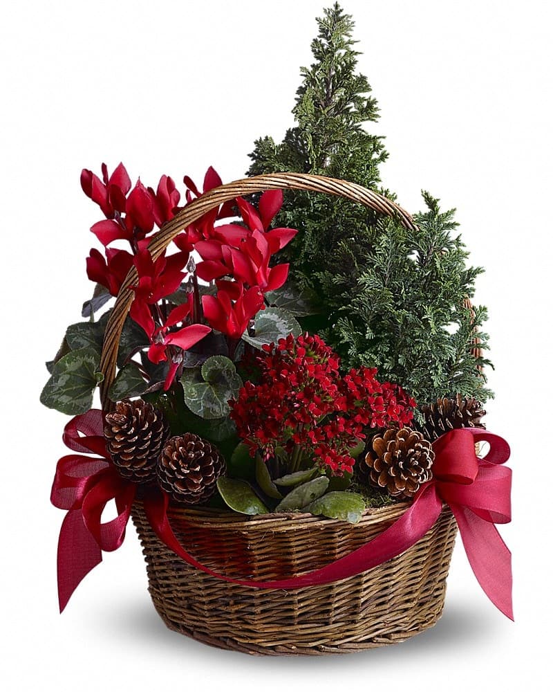 Tannenbaum Basket Bouquet