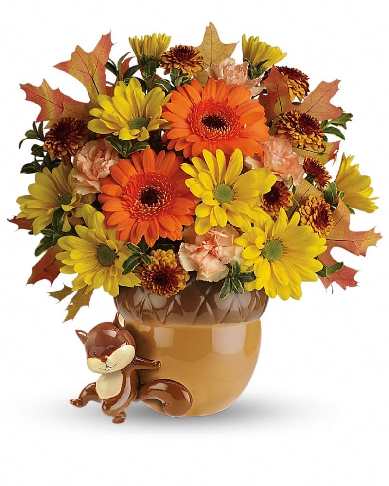 Send The Best Deal of the Day - Biggest Freshest Arrangement