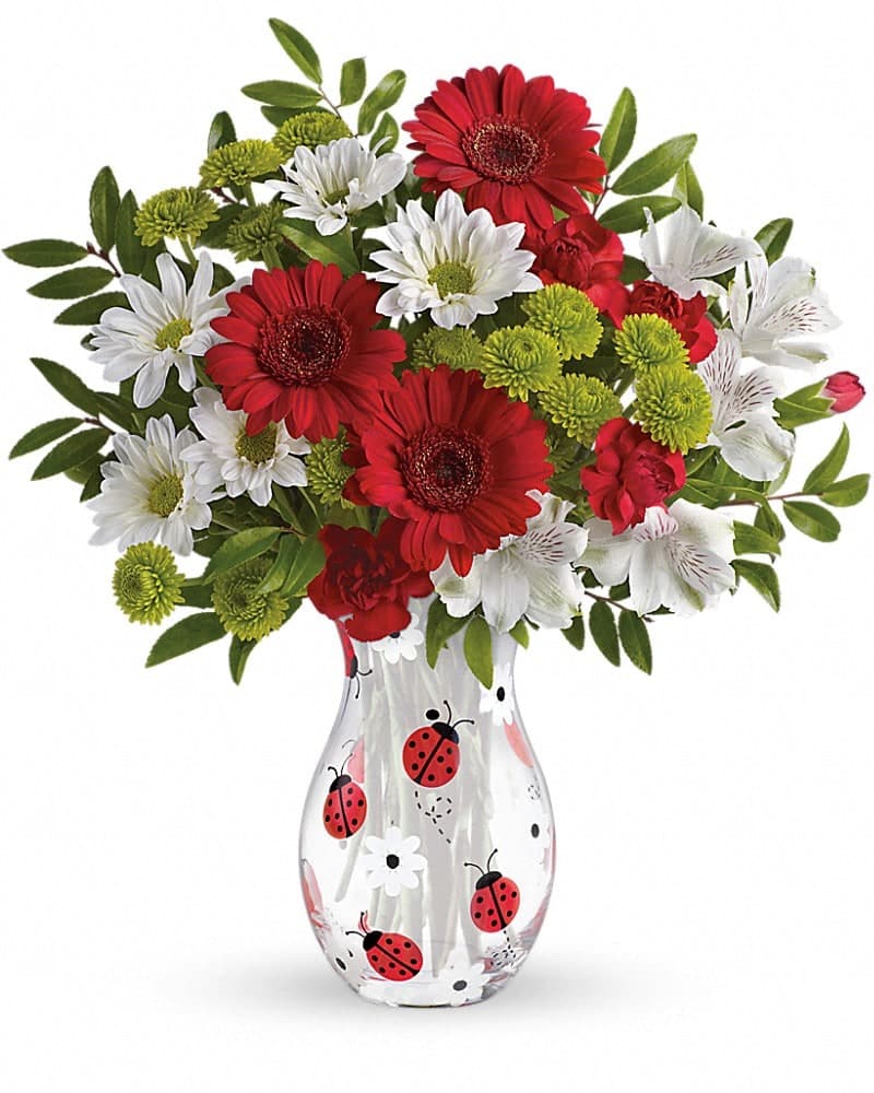 Teleflora's Lovely Ladybug Bouquet
