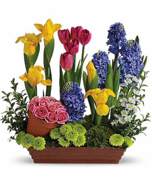 Spring Favorites
