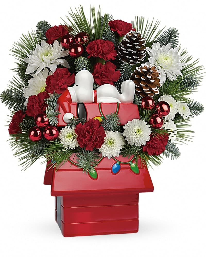 Send The Best Deal of the Day - Biggest Freshest Arrangement