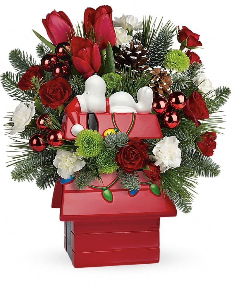 Snoopys Merry Doghouse Jar By Teleflora