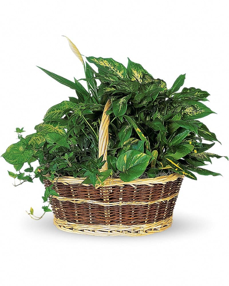 Large Basket Garden Basket Arrangement