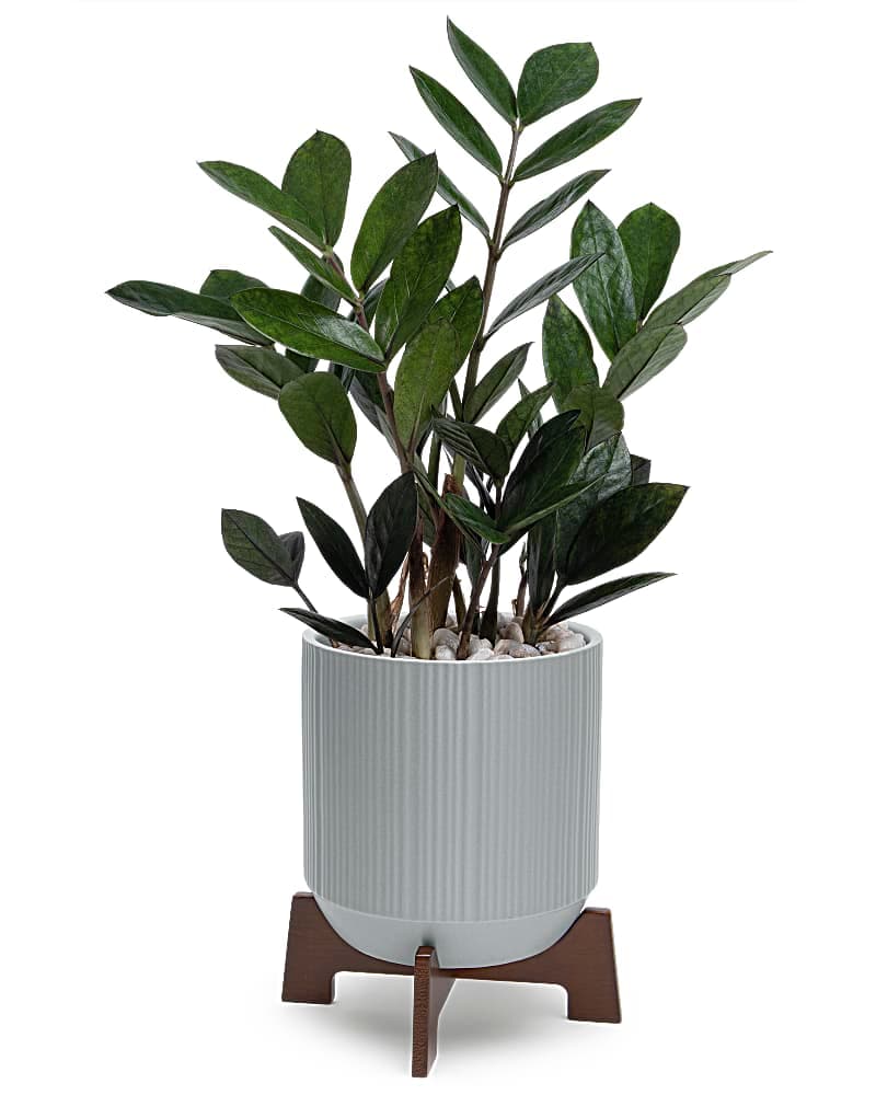 Teleflora's Mid Mod Classic