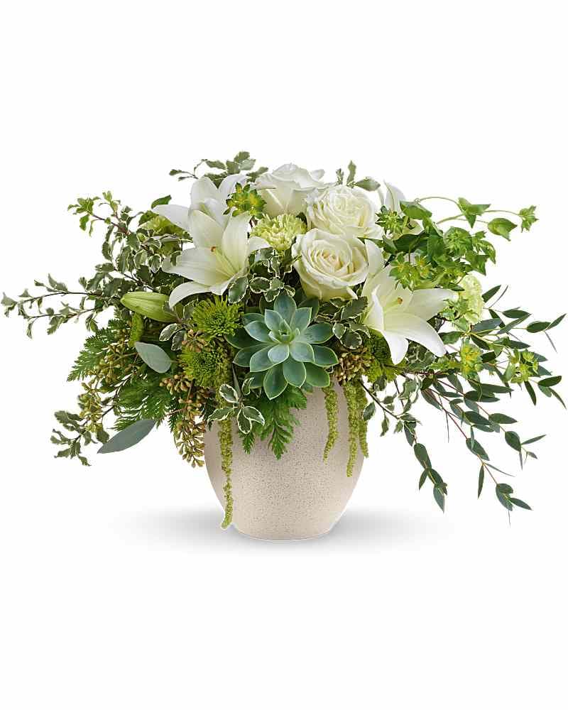 Send The Best Deal of the Day - Biggest Freshest Arrangement