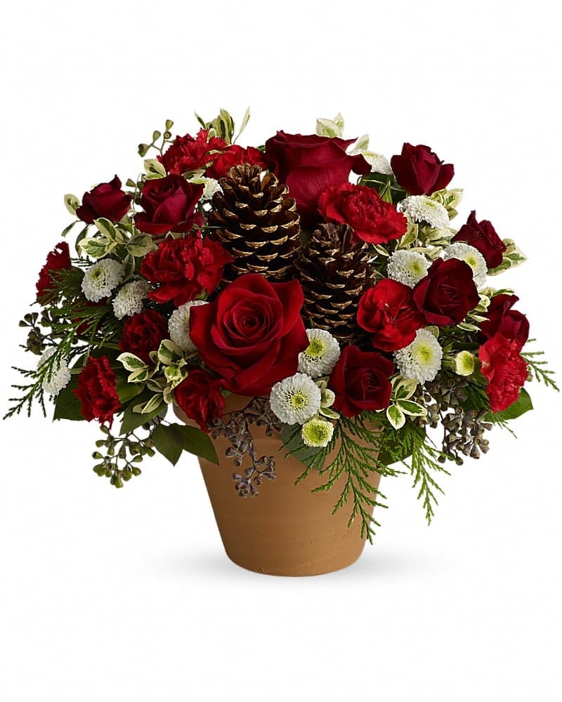 Winters Gift