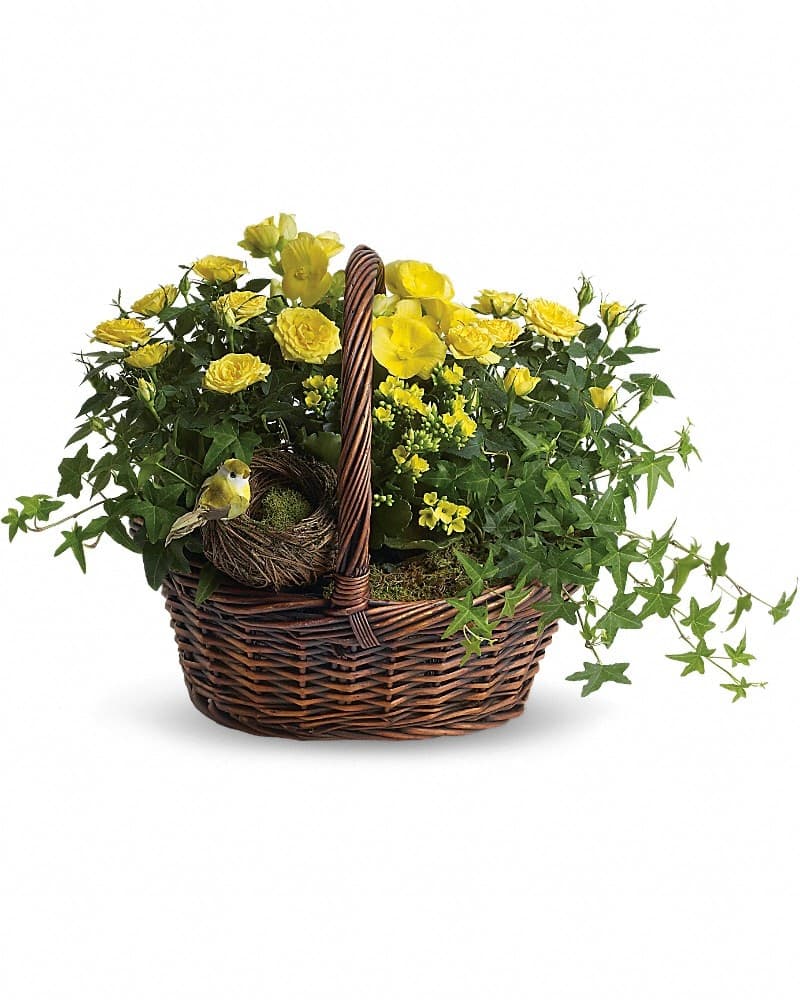 Yellow Trio Basket Arrangement