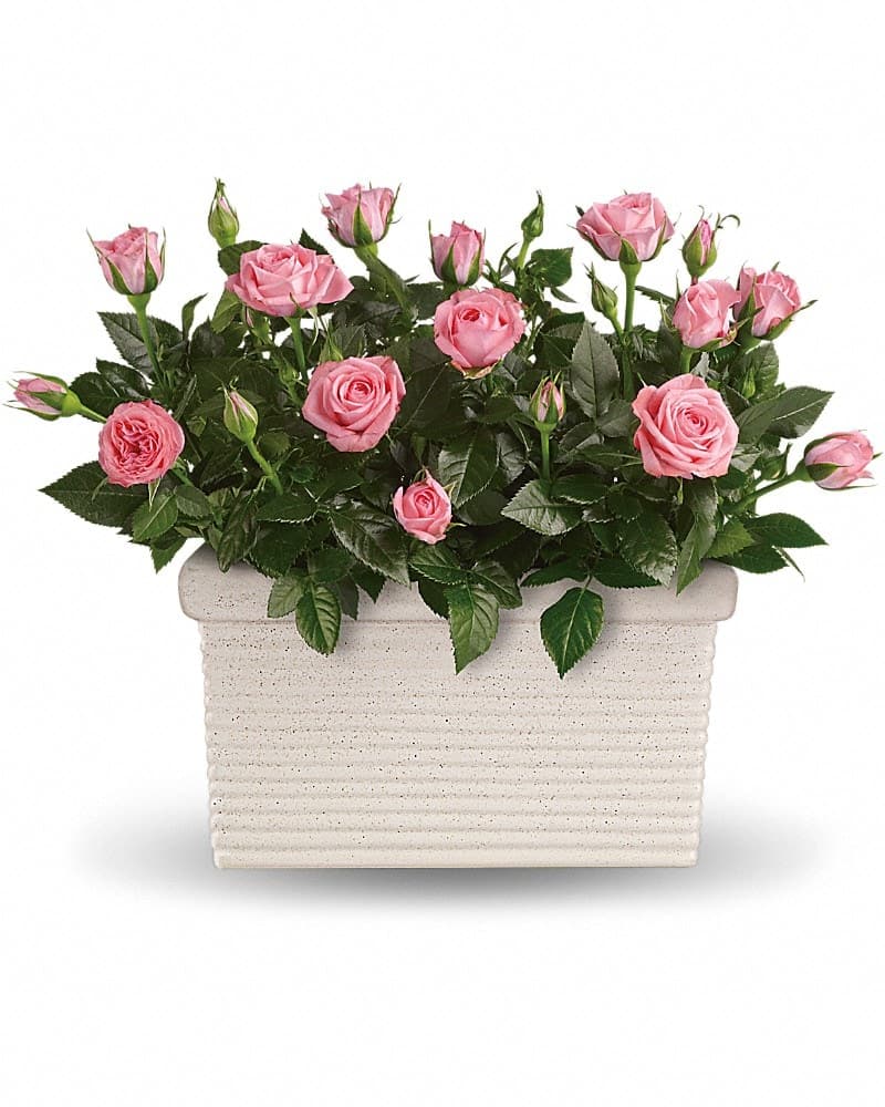 Rose Repose Bouquet