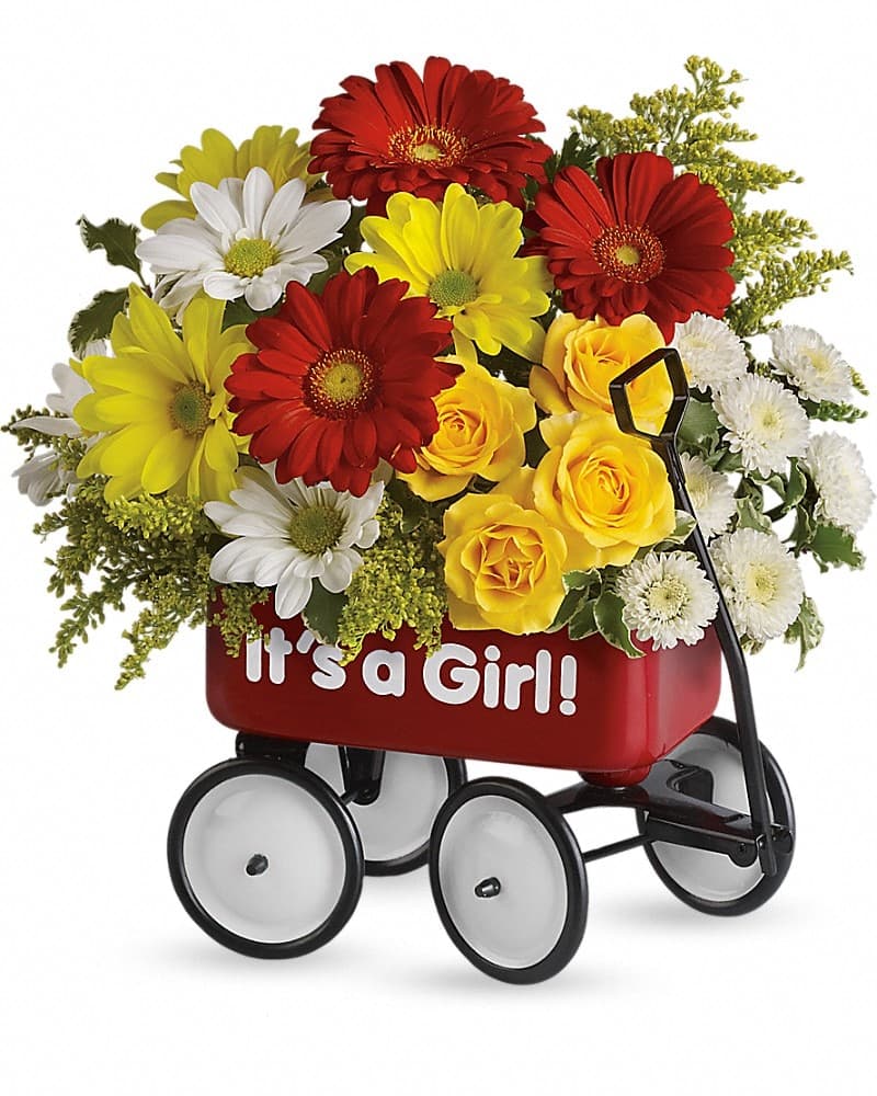 Babys Wow Wagon By Teleflora Girl