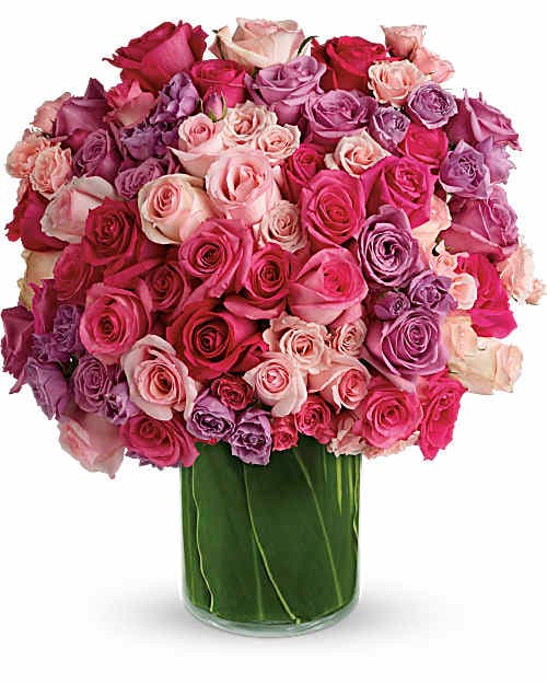 Rose Rapture